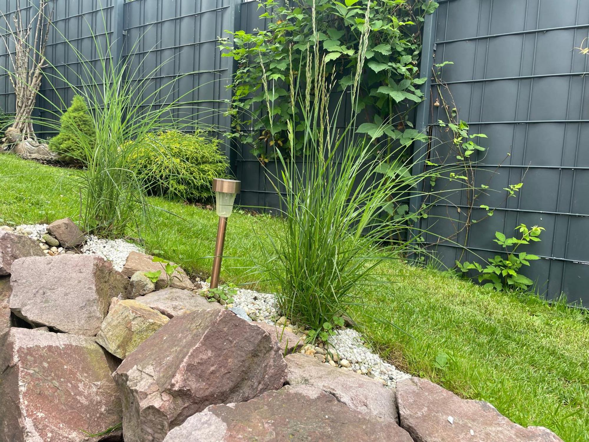 Gemütliche Wohnung idyllische Lage Nähe Frankfurt Alzenau Exterior foto